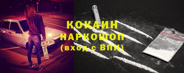 ешки Няндома