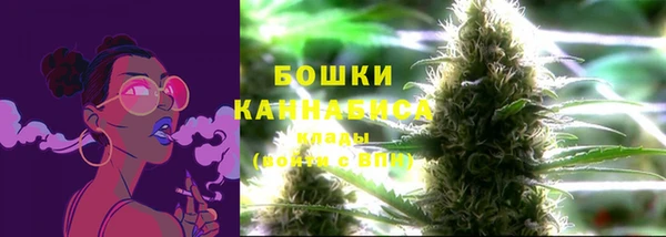 ГАЛЛЮЦИНОГЕННЫЕ ГРИБЫ Нягань