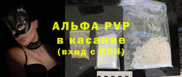 apvp Вяземский