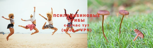 ешки Няндома