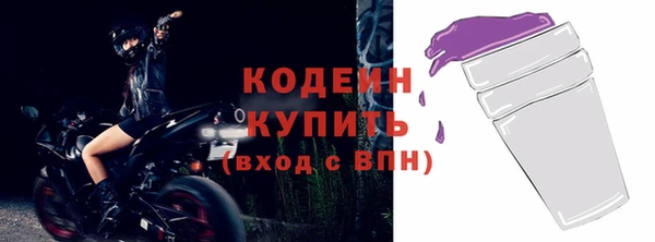 гашик Устюжна