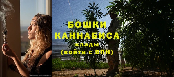 ешки Няндома