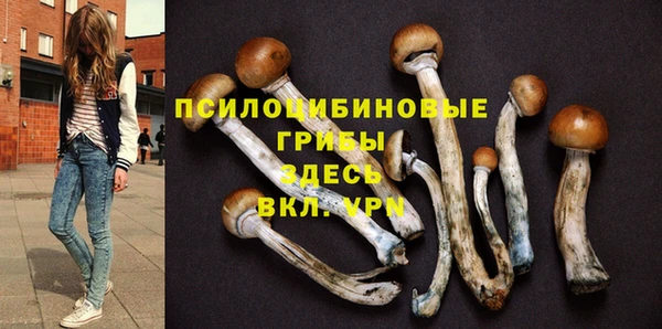 бошки Печоры