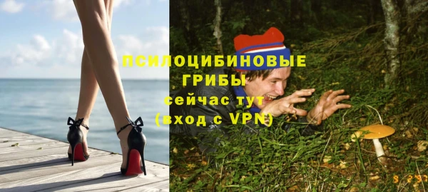ГАЛЛЮЦИНОГЕННЫЕ ГРИБЫ Нягань