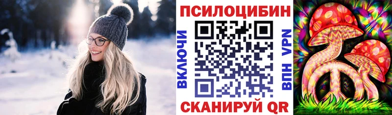 Псилоцибиновые грибы Psilocybine cubensis  МЕГА ссылки  Пучеж 